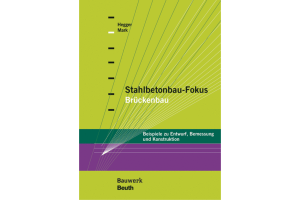 Fokus Brücke